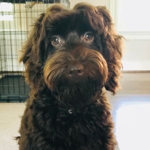 Meet your Posher, Emme